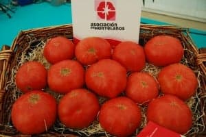 Tomate rosa de Barbastro. Foto Ronda Somontano.