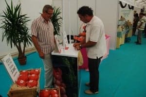 El tomate rosa volverá a estar en ferias como en Ferma. Foto R.S.