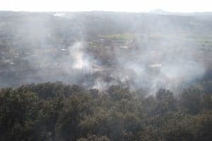 Zona afectada por el incendio. JLP.