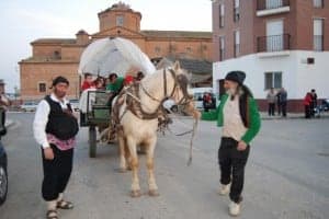 Cucaracha en Alcolea de Cinca. JLP.