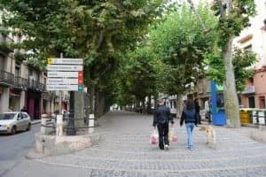 Paseo del Coso. 