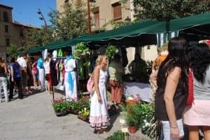 Feria del Remate de Monzón. JLP.
