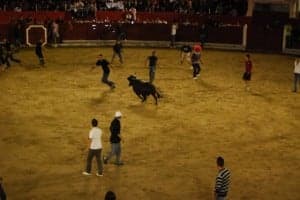 Suelta de vaquillas. JLP.