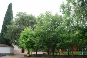 Entorno de la ermita del Viñero. JLP.