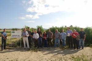Los hortelanos en el campo de ensayo de tomate rosa. JLP.