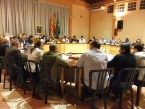 Pleno comarcal.