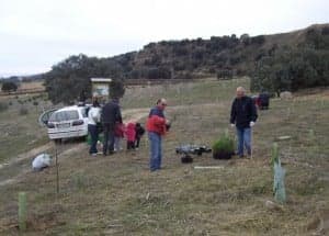 Plantación popular del año pasado. 