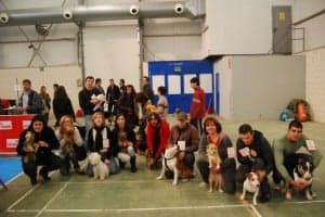 Un grupo de participantes con sus perros. JLP.