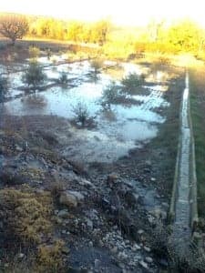 Imagen de una huerta inundada en Estada.