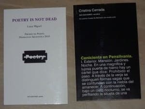 La novela y poemario vencedores de la edición barbastrense. 