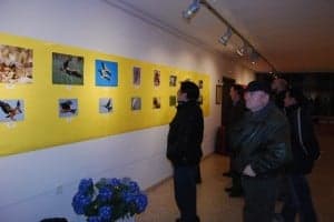 Fotografías sobre aves en Monzón. JLP.