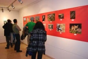 Muestra fotográfica sobre fauna. JLP.