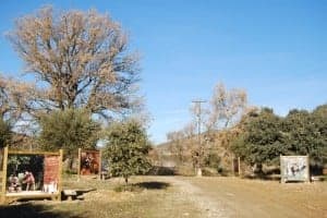 Paseo de la ruta de oficios y tradiciones. JLP.