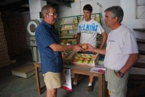 Centro de recepción de tomate rosa en Barbastro. JLP.