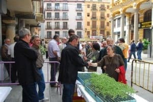 Buen ambiente en la plaza del Mercado. JLP.