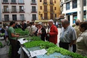 Viveristas del Somontano comercializaron sus plantas. JLP.