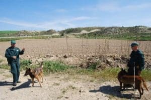 Perros de la unidad cinológica de Zaragoza. JLP.