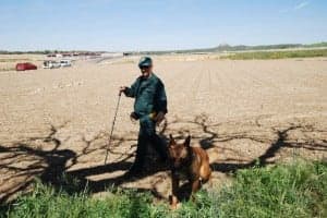 Los perros rastrean cada rincón. JLP.