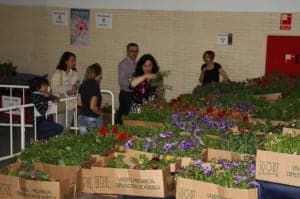 Se repartieron más de 3.000 flores. 