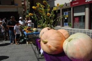 Calabazas de más de 100 kilos. JLP.