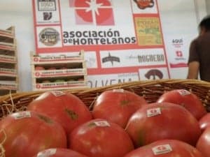 Tomate rosa de Barbastro.