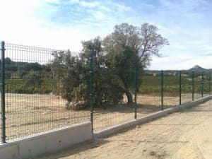 Vallado del cementerio municipal. JLP.