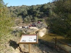 Estallo Ros Palomos. 