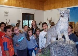 Estudiantes observan una maqueta de un lince.
