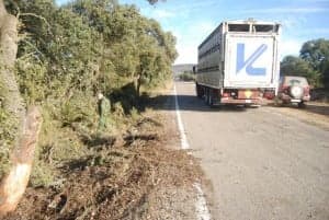 Lugar del accidente. JLP.