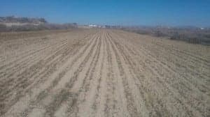 Campos secos. 