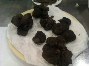 Trufas. JLP.