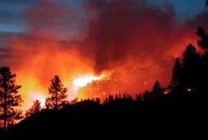 Incendio forestal.
