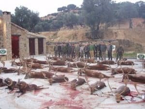 Monteria realizada en Bastaras en diciembre de 2011. Ecologistas en Acción.