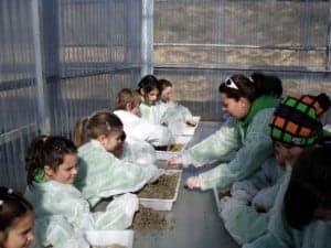Visita al cento de la trufa en la Ribagorza. 