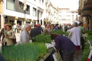 Jornada del plantero, el 1 de mayo. JLP.