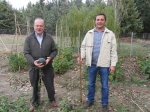 Los salesianos de Monzón gestionan un huerto social en la ciudad del Cinca. JLP.