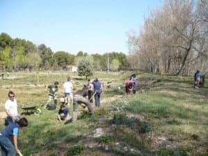 Voluntarios trabajando en la Pinzana. 