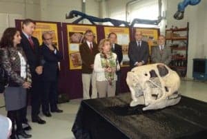 La consejera de Cultura observa el cráneo más grande de Europa.