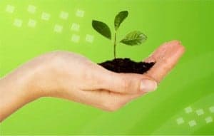 As claus d'a permacultura son recreyar o ecosistema más complexo posible en cada zona pero fendo-lo comestible y habitable. 