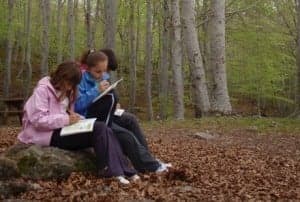 Unos niños pintan los bosques. 