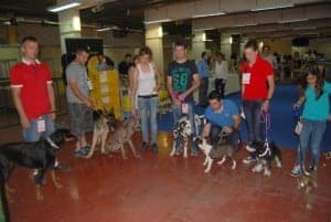 Algunos de los perros participantes. JLP.