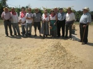 Algunos de los participantes en la trilla. José Luis Pano.