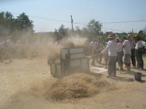 Aventando para separar el grano. Javier Cavero.