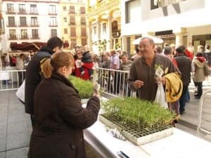 III Jornada del Plantero. JLP.