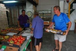 Trabajos en el centro de recepción de tomate rosa. JLP.