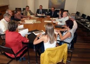 Consejo rector del IEA. DPH.