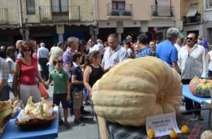 La calabaza de 200 kilos. JLP.