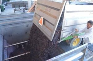 La uva entra en los depósitos de De Beroz. JLP.