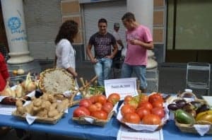 Tomates del Somontano. Tomates del Somontano.