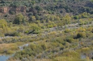 Río Cinca a su paso por El Grado. José Luis Pano.